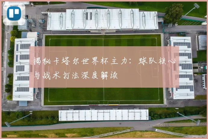 揭秘卡塔尔世界杯主力：球队核心与战术打法深度解读